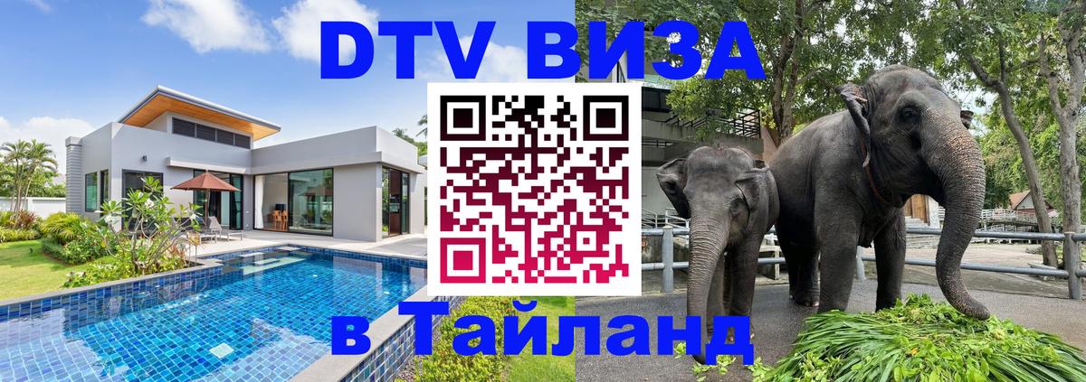 Оформление DTV визы под ключ: стоимость и тарифы, только загранпаспорт - 21.11.2025 